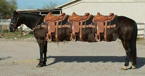 Texas%20Limousine-707828.jpg