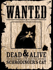 wanted-dead-and-alive-schrodingers-cat-t-shirt.jpg